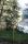 tn_view