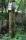 tn_view