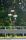tn_view