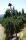 tn_view
