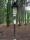 tn_view