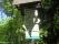 tn_view