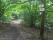 tn_view