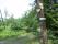 tn_view