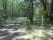 tn_view
