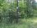 tn_view