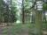 tn_view