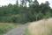 tn_view