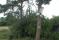 tn_view