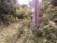 tn_view
