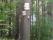 tn_view