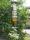 tn_view