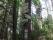 tn_view