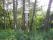 tn_view