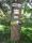 tn_view
