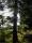 tn_view