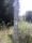 tn_view