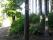 tn_view