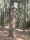 tn_view
