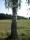 tn_view