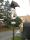 tn_view