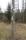 tn_view