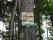 tn_view