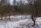 tn_view
