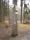 tn_view