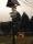 tn_view