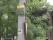 tn_view