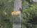 tn_view