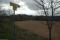 tn_view