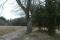 tn_view