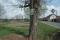 tn_view