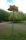 tn_view