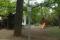 tn_view