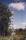 tn_view