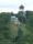 tn_view