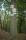 tn_view