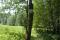 tn_view