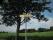 tn_view