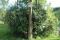 tn_view