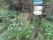 tn_view