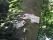 tn_view