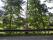 tn_view