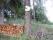 tn_view