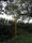 tn_view