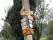 tn_view