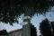 tn_view